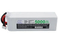 RC CS-LP5004C35RT